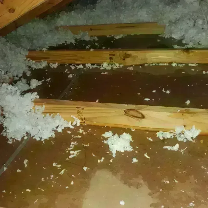 Attic Water Damage in Walnut, IL