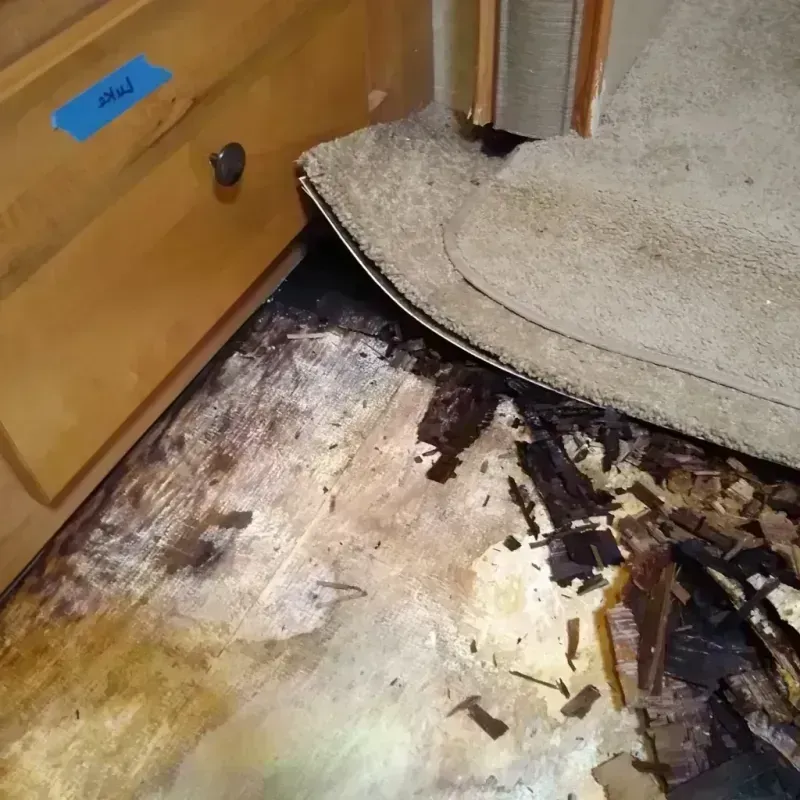 Wood Floor Water Damage in Walnut, IL